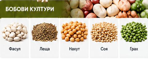 Селскостопански продукти, Сортиране, почистване, калибриране, Сортиране на селскостопански продукти, СортБГ ООД, SortBG Ltd., внос о сервиз, фото, сепаратори, калибратори, сортиращи, почистващи, дозиращи, кантари, теглови, дозатори, сепаратори